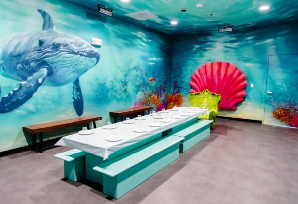 Underwater Birthday Party Room Lava Island Tucson | Lava Island (indoor themed playground) - Coming to Tucson This Fall!