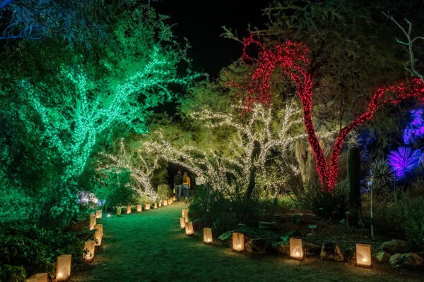 Holiday Lights LightsUp A Festival of Illumination Tucson Botanical Gardens path | Holiday Lights in Tucson 2025