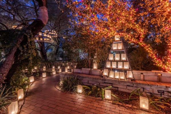 LightsUp A Festival of Illumination Tucson Botanical Gardens Luminarias | Holiday Lights in Tucson 2025