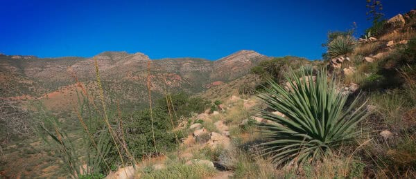 Kartchner Caverns State Park Benson Arizona Outside | 30 Best Things to Do in Tucson