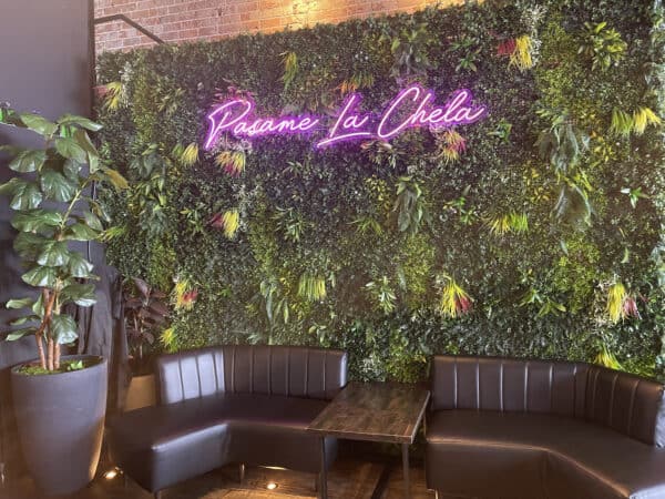 Pasame La Chela Downtown Tucson | 30 Best Things to Do in Tucson