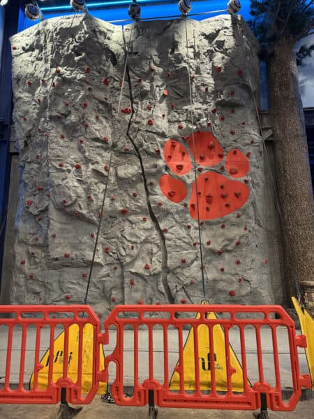 Rock Climbing Wall Great Wolf Lodge Arizona Scottsdale Rock Climbing Wall Great Wolf Lodge Arizona Scottsdale | Great Wolf Lodge Arizona: Complete Guide