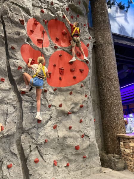 Rock Wall Great Wolf Lodge Arizona Scottsdale Rock Wall Great Wolf Lodge Arizona Scottsdale | Great Wolf Lodge Arizona: Complete Guide