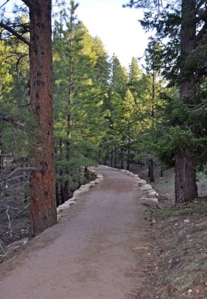 North Rim Bridle Path Grand Canyon National Park Arizona | Grand Canyon National Park | Ultimate Guide to Arizona's Iconic Landmark