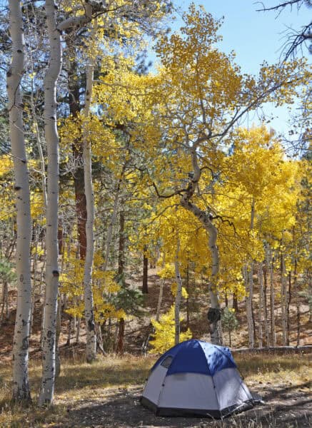 North Rim Campground Fall Autumn Grand Canyon Arizona | Grand Canyon National Park | Ultimate Guide to Arizona's Iconic Landmark
